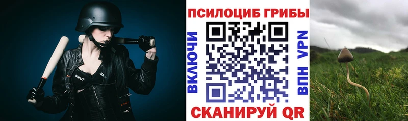 Псилоцибиновые грибы Magic Shrooms  Перевоз 